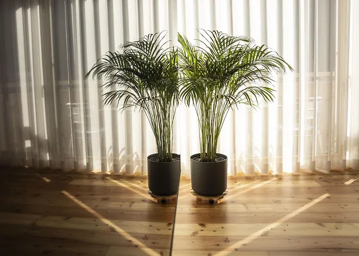 شقة Chasa Helvetia Quatter