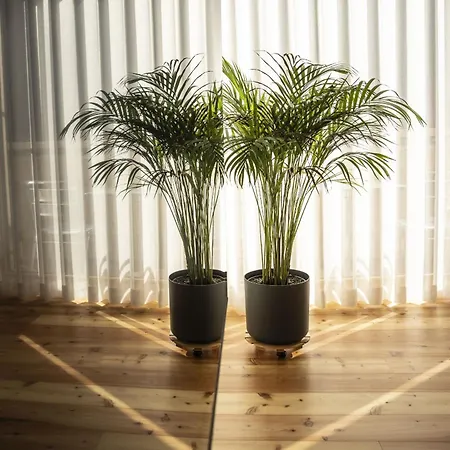 Apartman Chasa Helvetia Quatter